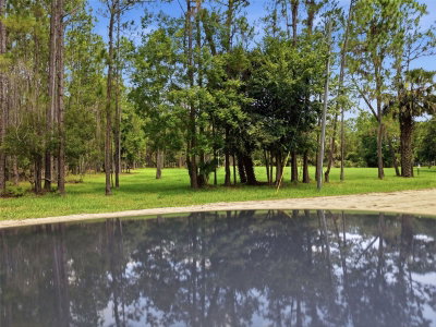 2140 ST JOHNS RIVER Road, Astor, FL, 32102 — photo 2