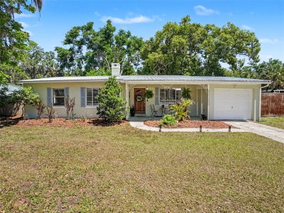 315 11TH Avenue, Mount Dora, FL, 32757 — photo 2