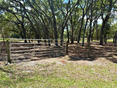 390 FOOTHILL FARMS Road, Orange City, FL, 32763 — photo 2