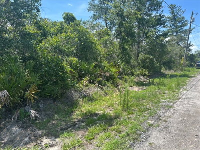 WALDOR Avenue, Orange City, FL, 32763 — photo 2