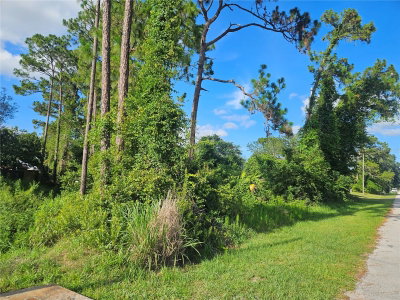 2318 WHITEHORSE Street, Deltona, FL, 32738 — photo 2