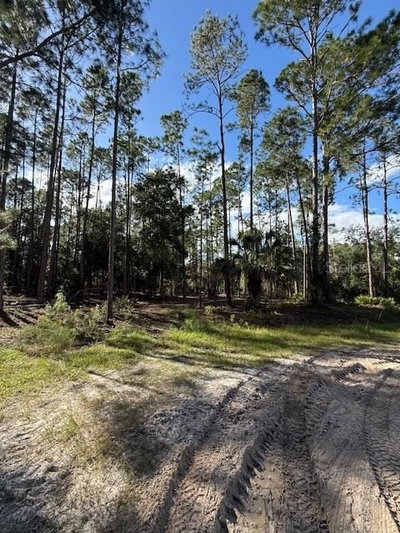 215 HIDEAWAY Lane, Georgetown, FL, 32139 — photo 2