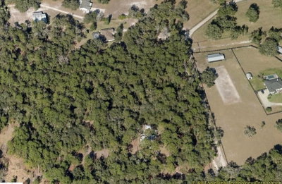 DEERPAW TRAIL Road, Deland, FL, 32720 — photo 2