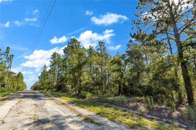 LOTS 16 AND 17 SE 130TH CT, Dunnellon, FL, 34431 — photo 2