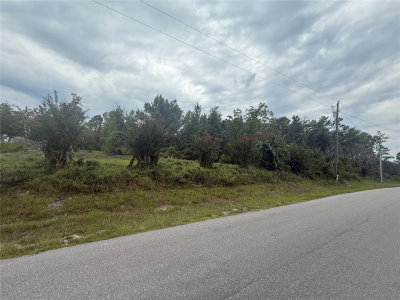 31514 DIVISION Street, Deland, FL, 32720 — photo 2