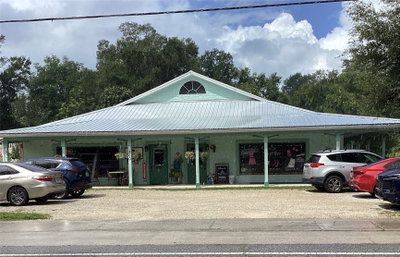 360 LAKEVIEW Drive, Lake Helen, FL, 32744 — photo 2