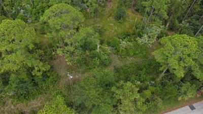 1715 TATUM Boulevard, New Smyrna Beach, FL, 32168 — photo 2