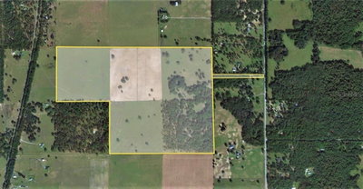 12884 PLEASANT GROVE Road, FLORAL CITY, FL, 34436 — photo 2