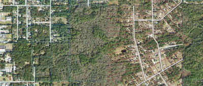 1500 CANDLENUT & 1627 S PALM Avenue, HOMOSASSA, FL, 34448 — photo 2