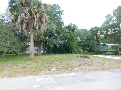Lot 143 & 145 INWOOD Drive, Hudson, FL, 34667 — photo 2