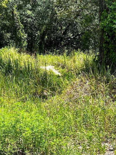 9136 MARCUS Road, Brooksville, FL, 34601 — photo 2