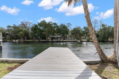 8064 MARYS FISH CAMP Road, Weeki Wachee, FL, 34607 — photo 2