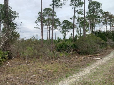 Cedar Key, FL, 32625 — photo 2