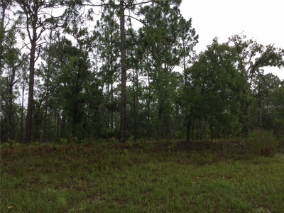 2191 CITRUS SPRINGS Boulevard, Dunnellon, FL, 34434 — photo 2