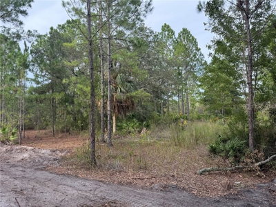 00 103RD Court, Cedar Key, FL, 32625 — photo 2
