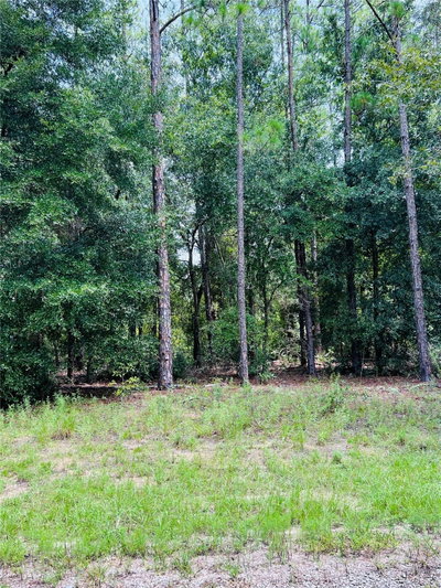 8681 WALLINGFORD Avenue, Citrus Springs, FL, 34434 — photo 2