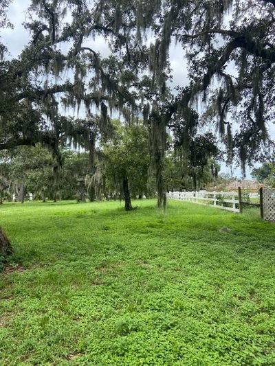 HILLTOP Drive, New Port Richey, FL, 34654 — photo 2