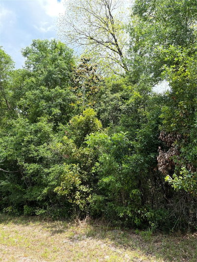 70TH Circle, Chiefland, FL, 32626 — photo 2