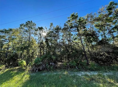 16 MAYTEN Court, Homosassa, FL, 34446 — photo 2