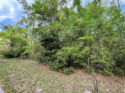 74TH Court, Chiefland, FL, 32626 — photo 2
