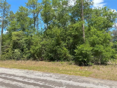 1571 ALEXANDER Drive, Citrus Springs, FL, 34434 — photo 2