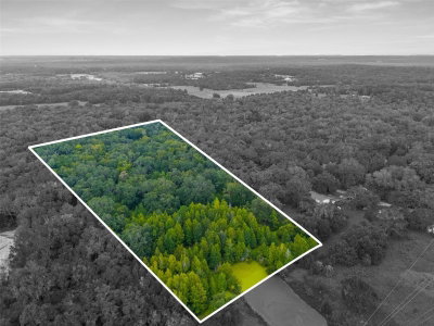 RAIN FOREST Road, Brooksville, FL, 34601 — photo 2