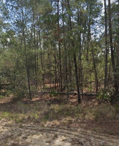 13 SCABIOSA Court, Homosassa, FL, 34446 — photo 2