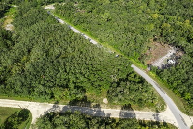 BIGELOW Avenue, Webster, FL, 33597 — photo 2