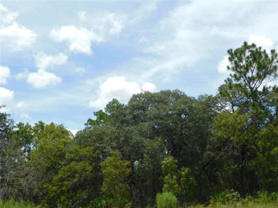 6681 BEDSTROW Boulevard, Dunnellon, FL, 34434 — photo 2