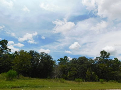 6683 BEDSTROW Boulevard, Dunnellon, FL, 34434 — photo 2