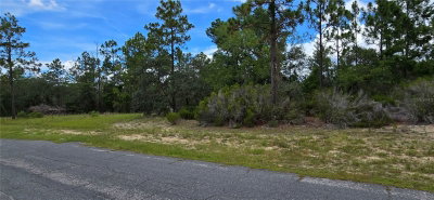2899 SANTANA Drive, Citrus Springs, FL, 34433 — photo 2
