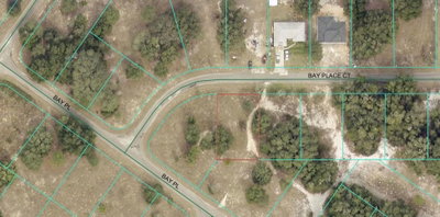 BAY PLACE Court, Ocklawaha, FL, 32179 — photo 2