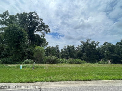 5995 CREEK RIDGE Road, Brooksville, FL, 34601 — photo 2