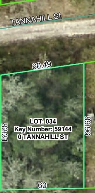 TANNAHILL Street, Dade City, FL, 33523 — photo 2