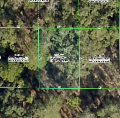 ROCK DUCK Avenue, Brooksville, FL, 34614 — photo 2