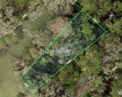 SHAMROCK Road, Dade City, FL, 33523 — photo 2