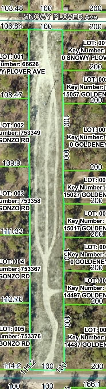 SNOWY PLOVER Avenue, Brooksville, FL, 34614 — photo 2