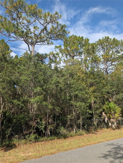 6499 HERITAGE Drive, Homosassa, FL, 34448 — photo 2