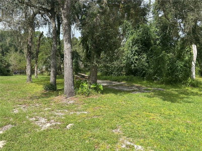 4014 125TH Avenue, Webster, FL, 33597 — photo 2