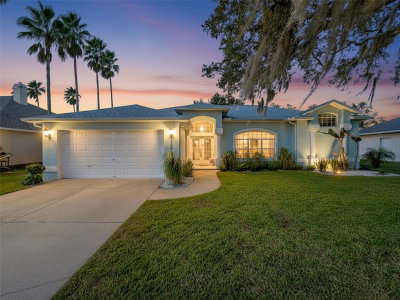 3365 INDIAN RIVER Street, Spring Hill, FL, 34609 — photo 2