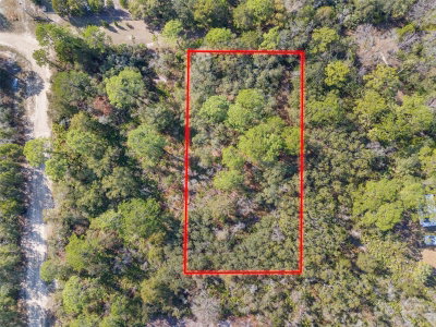 419 VESPER Point, Crystal River, FL, 34429 — photo 2