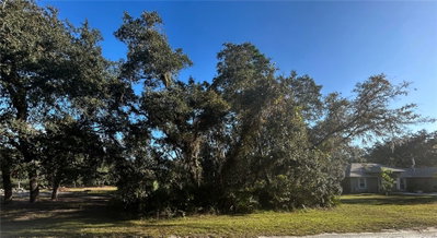34429 MANUEL Street, Webster, FL, 33597 — photo 2