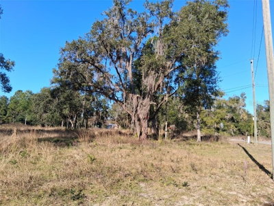 LONG Circle, Webster, FL, 33597 — photo 2