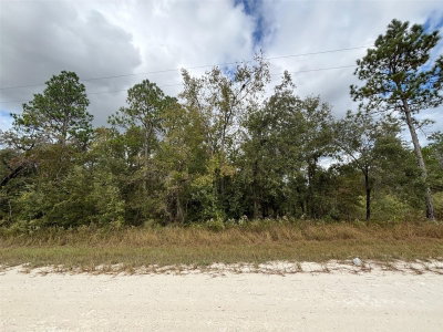 Lot 11 RED MARLIN Avenue, Weeki Wachee, FL, 34614 — photo 2