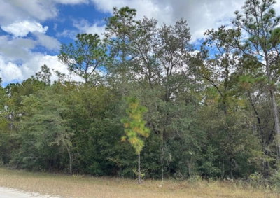 Lot 19 CANYON SWALLOW Road, Weeki Wachee, FL, 34614 — photo 2