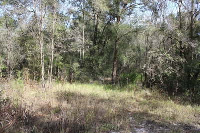 34273 BELT Drive, Dade City, FL, 33523 — photo 2