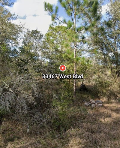 33467 WEST Boulevard, Webster, FL, 33597 — photo 2