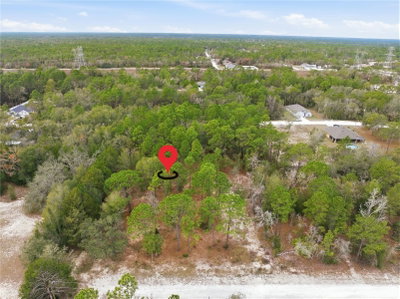 CORMORANT Road, Weeki Wachee, FL, 34614 — photo 2