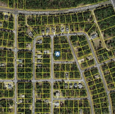 647 TULIP Lane, Citrus Springs, FL, 34434 — photo 2