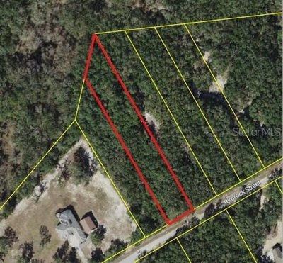 RIM ROCK, Webster, FL, 33597 — photo 2